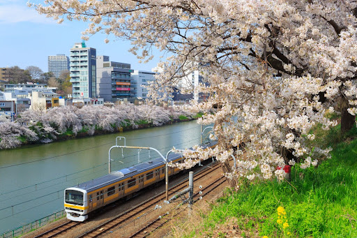 Tokyo Is A Best Practice Destination For Bleisure Travel Due To Its Efficient Transportation System