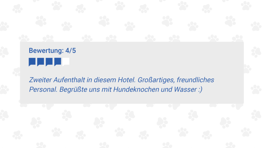 Zweiter Aufenthalt in diesem Hotel. Großartiges, freundliches Personal. Begrüßte uns mit Hundeknochen und Wasser :)