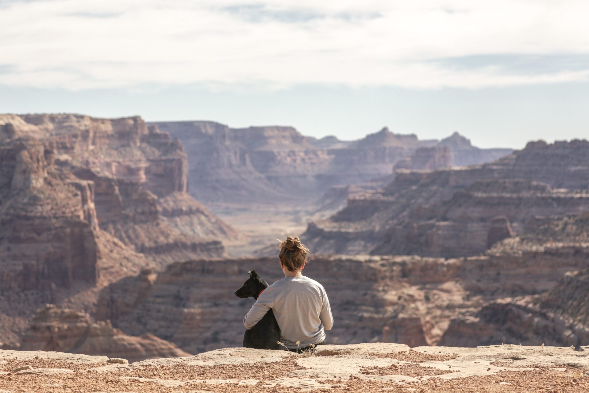 A pet owner with her dog looking at canyons. 