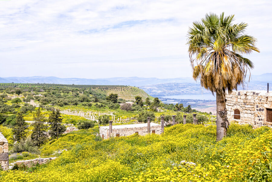 Scenic View From Gadara Ruins Hilltop, Jordan